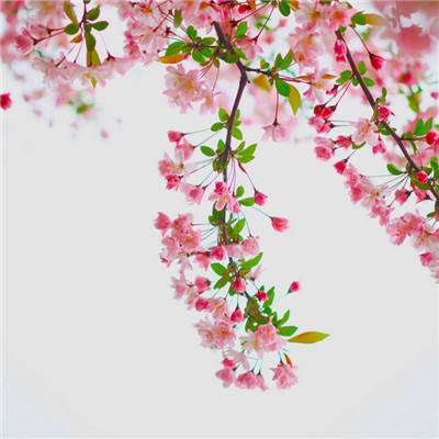 神之域破解版下载